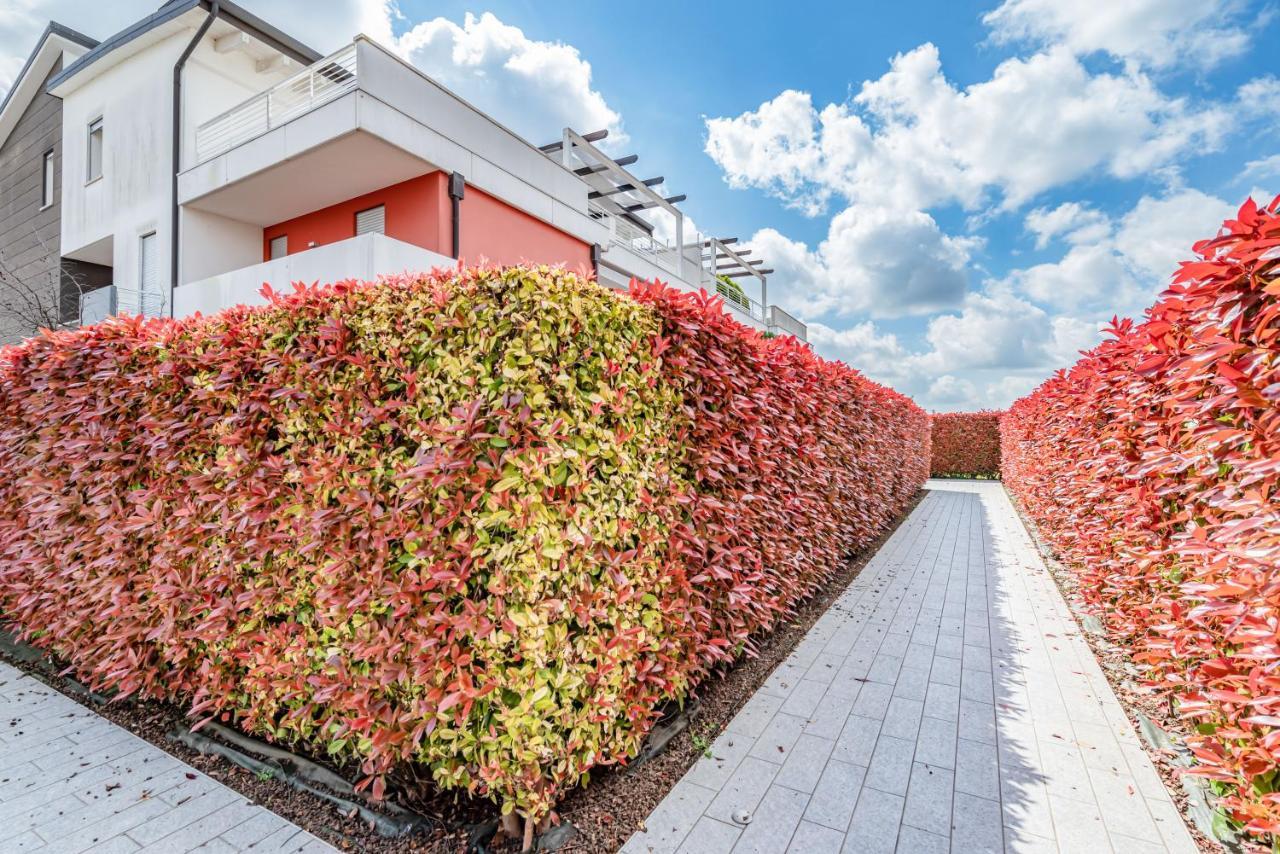 Padova Albignasego Apartment Con Terrazzo X7! ภายนอก รูปภาพ
